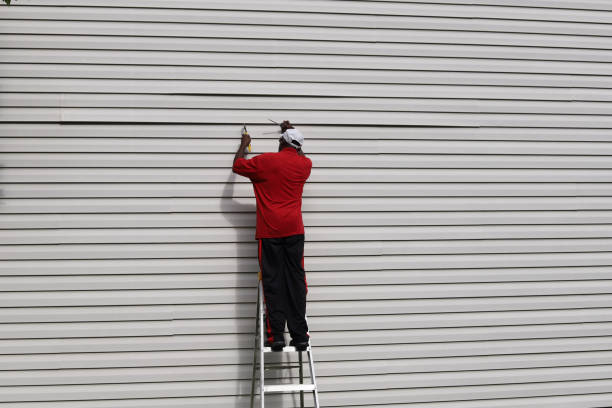 Best Steel Siding Installation  in Funny River, AK